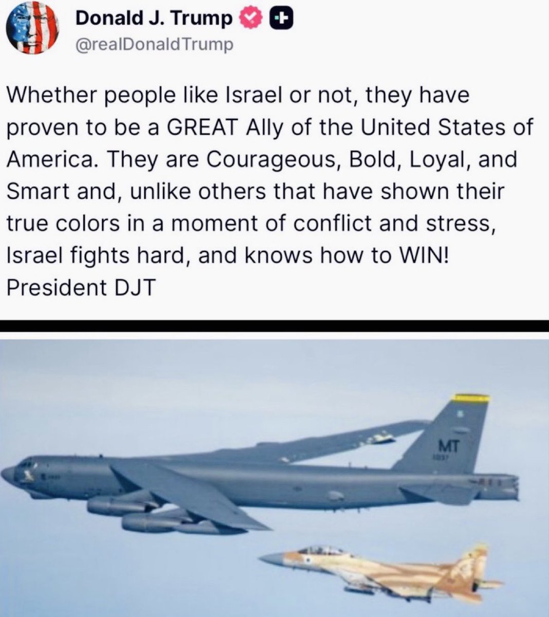 The Israeli tweet media