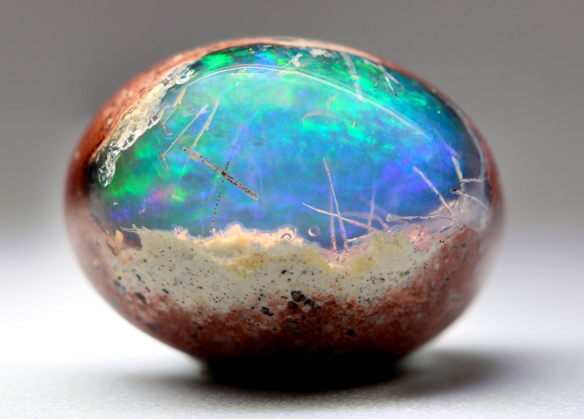 黒野(クロノ) tweet media