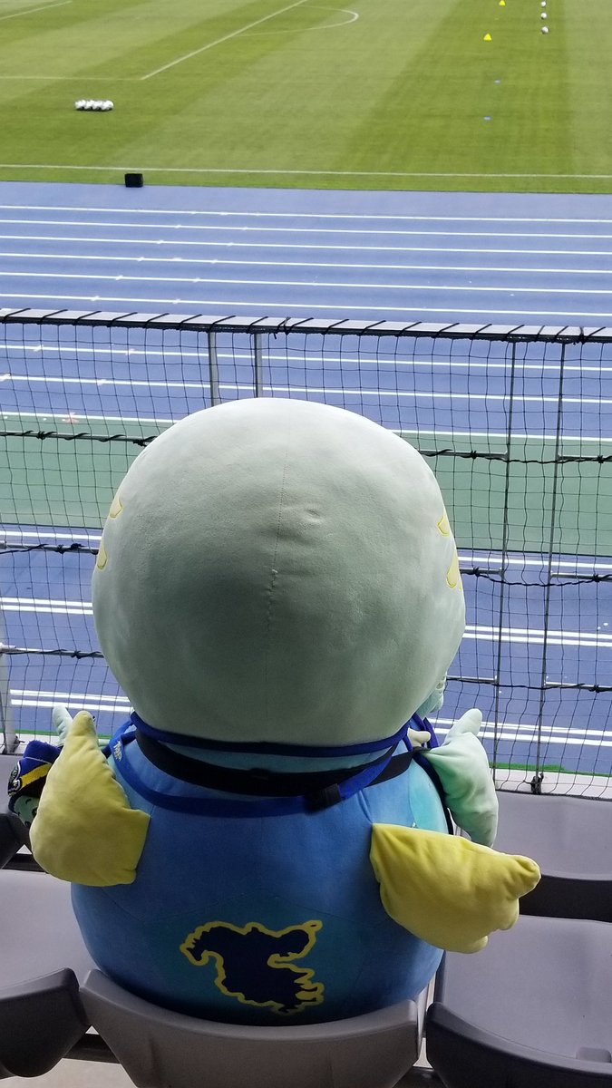 カメオ🐢 tweet media