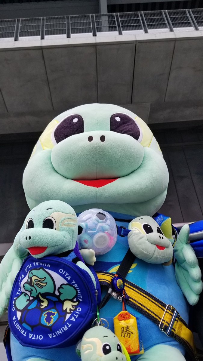 カメオ🐢 tweet media