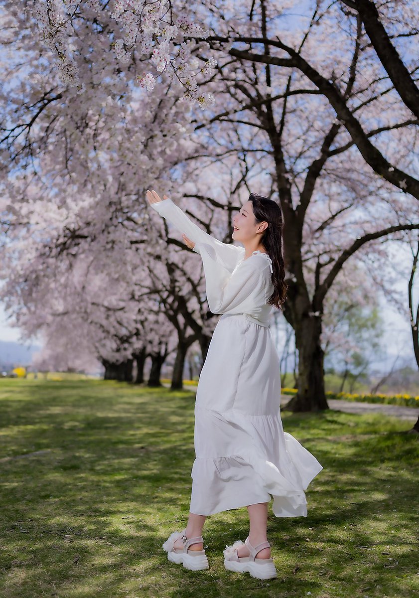 tottotomal's tweet photo. ：In frame:  haruna さん
Location: 長野県

#桜　#🌸
#portrait #ポートレート
#ファインダー越しの私の世界
#カメラマン #フォトグラファー
#松本市
#出張撮影  #撮影依頼 承ります。 https://t.co/AsAXlm6d0P
