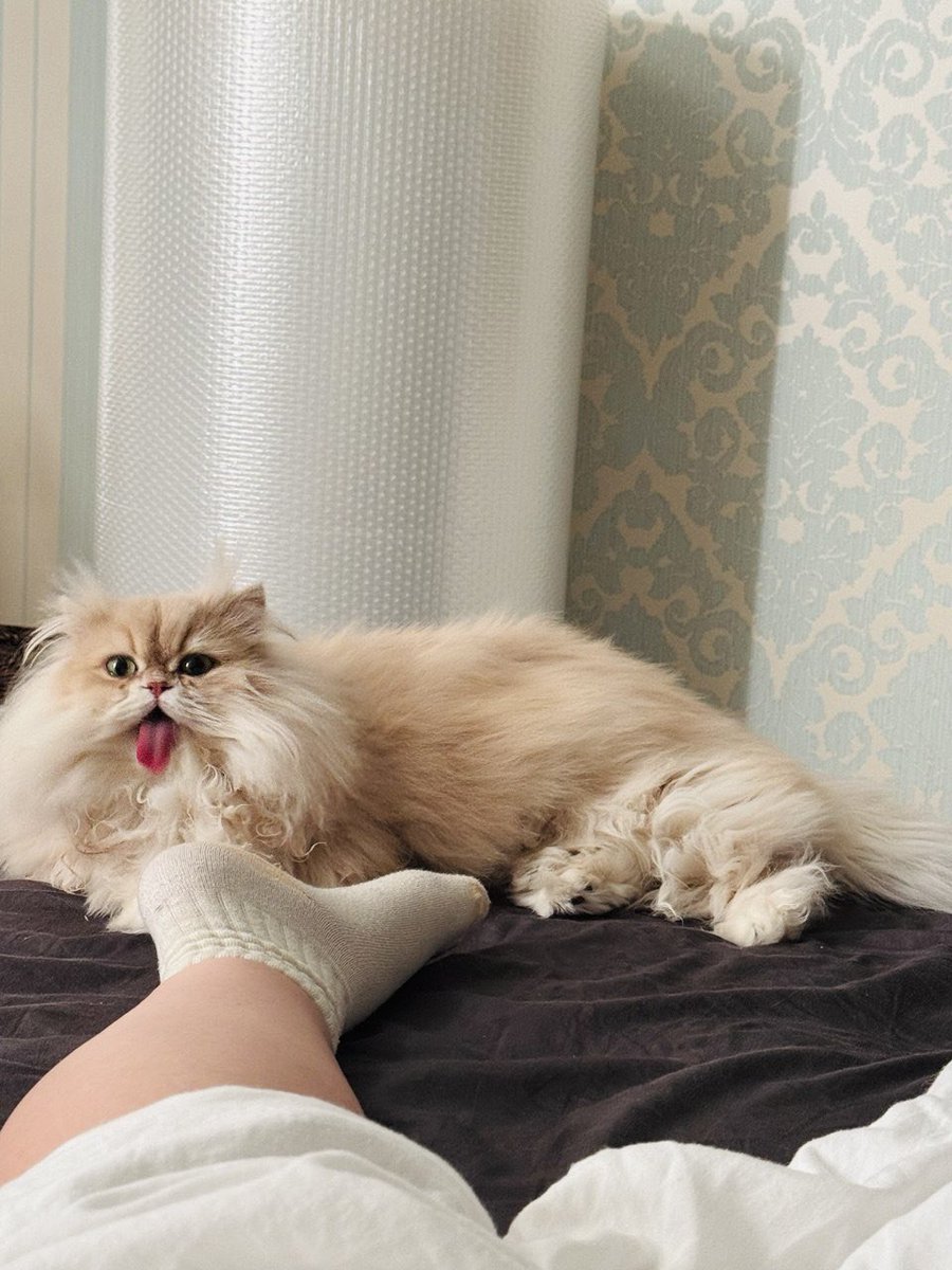 хммм tweet media