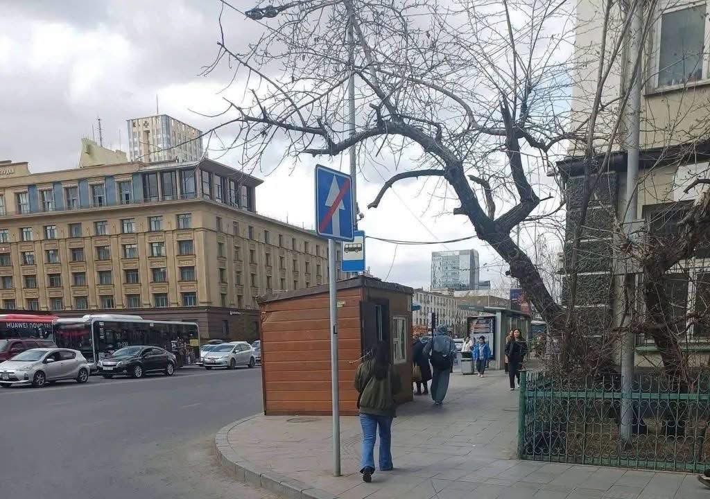 🤵🏻‍♀️Shiilegmaa💎 tweet media