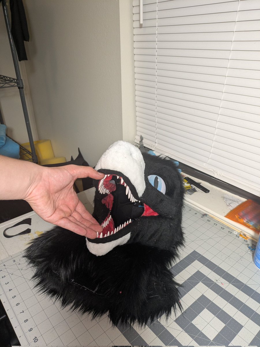 NovaDaShep's tweet image. Look at this pretty raptor! I'm so proud of this and how it turned out! I can't wait to bring Aurora out for FWA and future cons! 

#fursuit #raptor #dinosaur