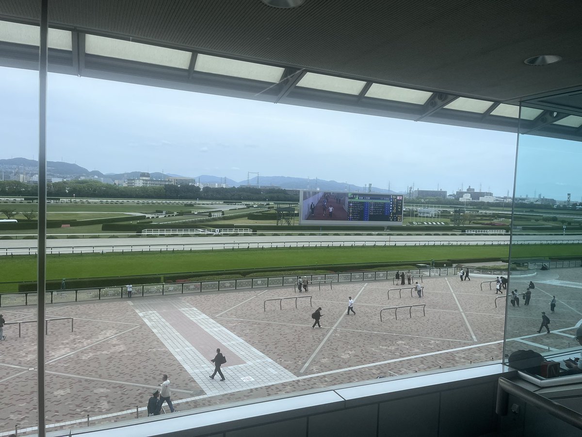 キタサン6687 tweet media