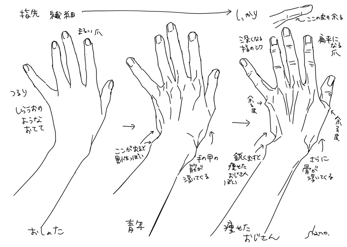 ｼｬﾓ🐐🦢@原稿 tweet media
