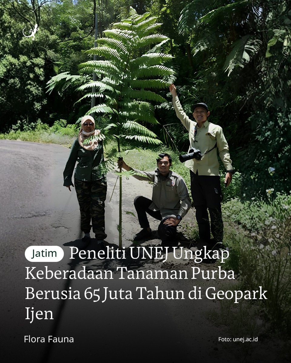 Mongabay Indonesia tweet media