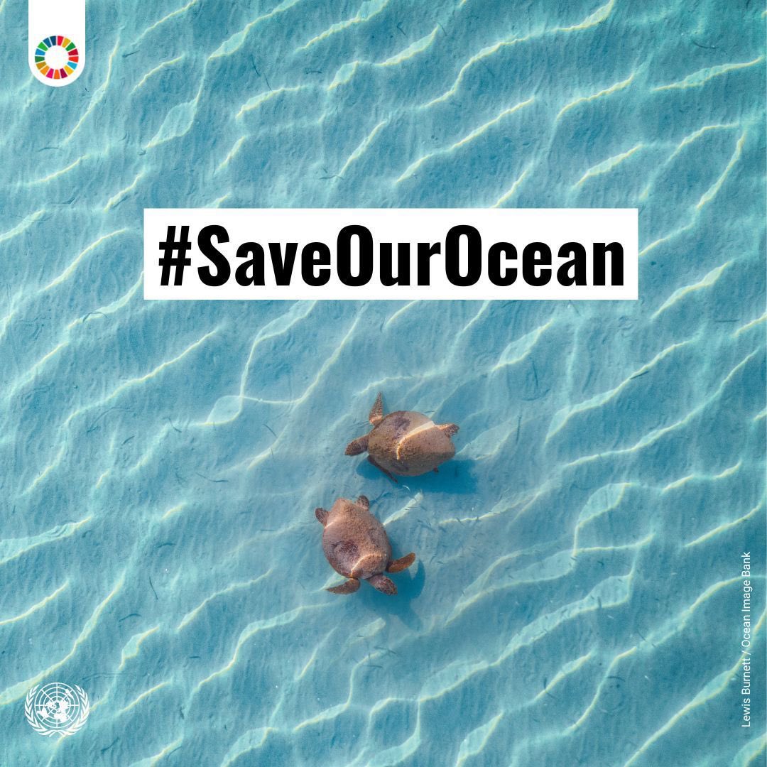 UN_CYPRUS's tweet image. Every fraction of a degree matters.

Rising temperatures put marine life and coastal ecosystems at risk of irreversible loss.

Urgent #ClimateAction is needed to #SaveOurOcean. 

buff.ly/R71bIe0