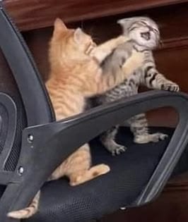 Gold king tweet media