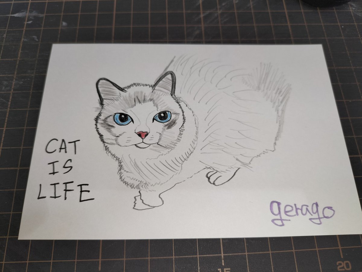 パンゲラゴ山 tweet media