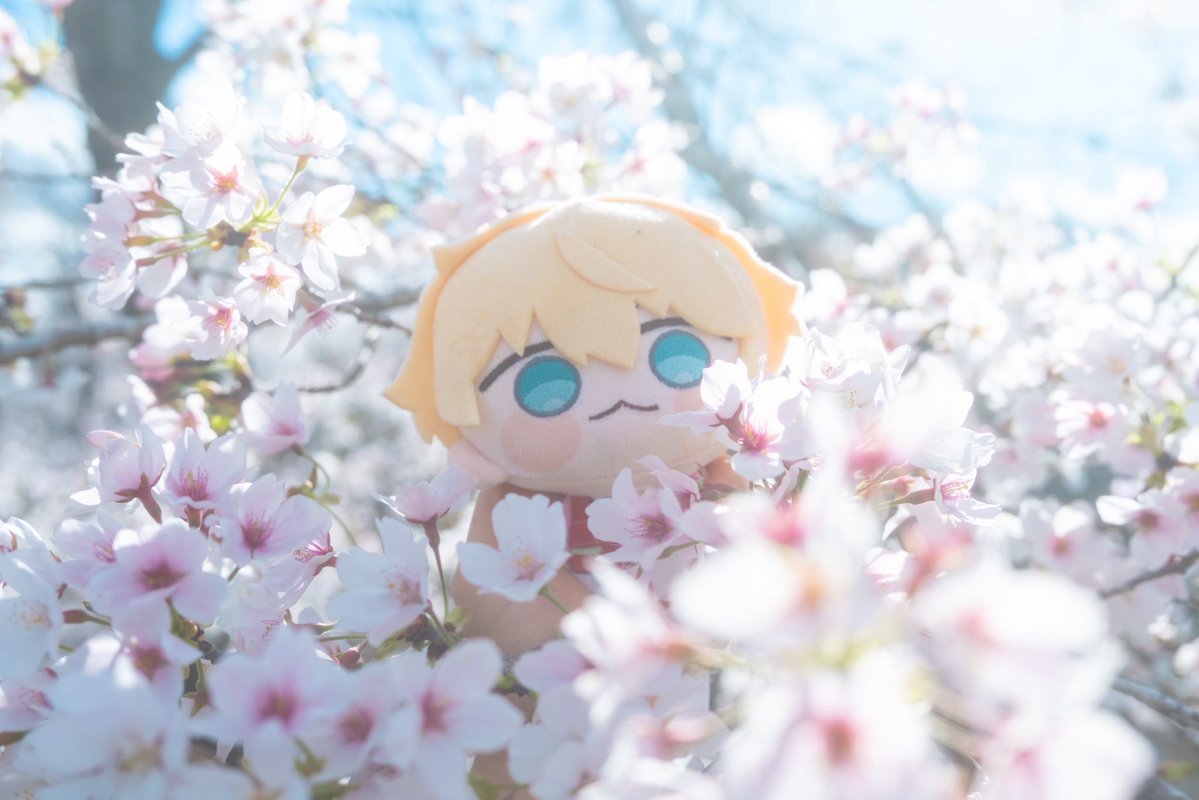 きすい tweet media