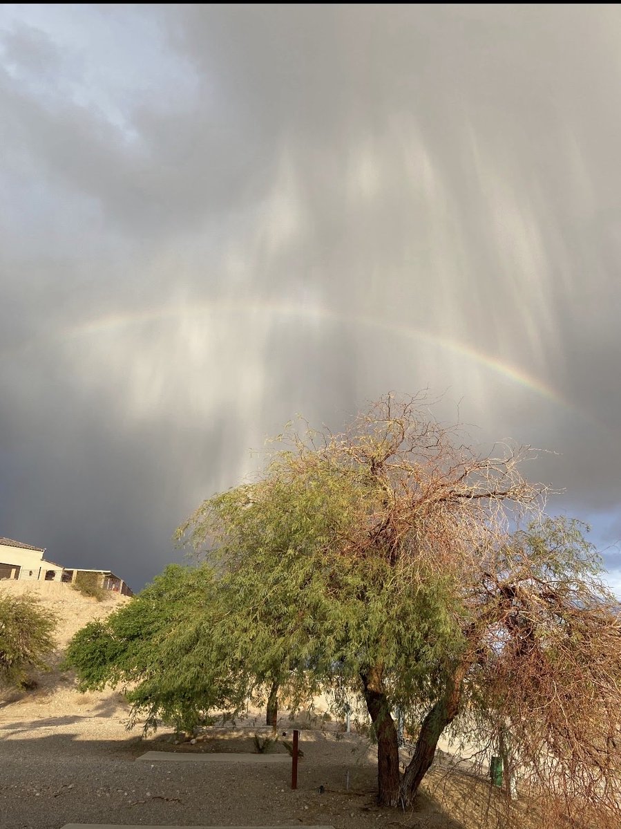 Cynthia (Cyndi) Haltom 💙widow - blue resister tweet media