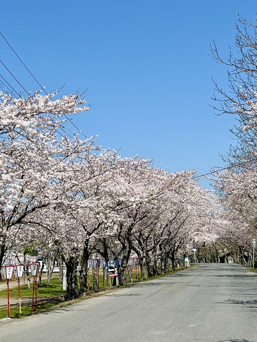 yuuki（ゆうき） tweet media