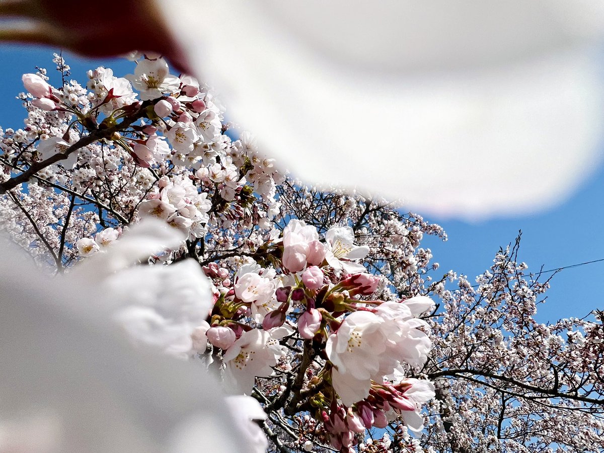 yuuki（ゆうき） tweet media