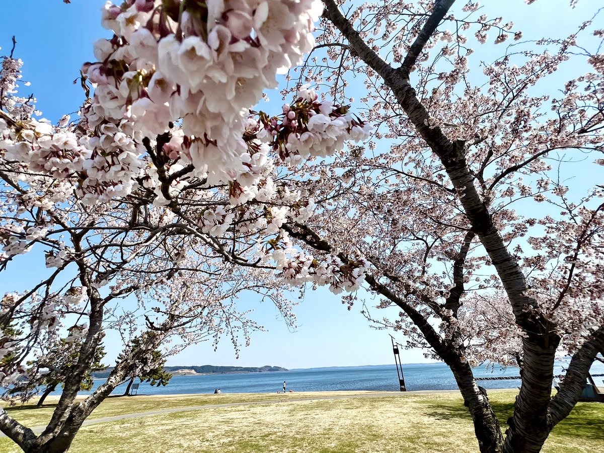 yuuki（ゆうき） tweet media