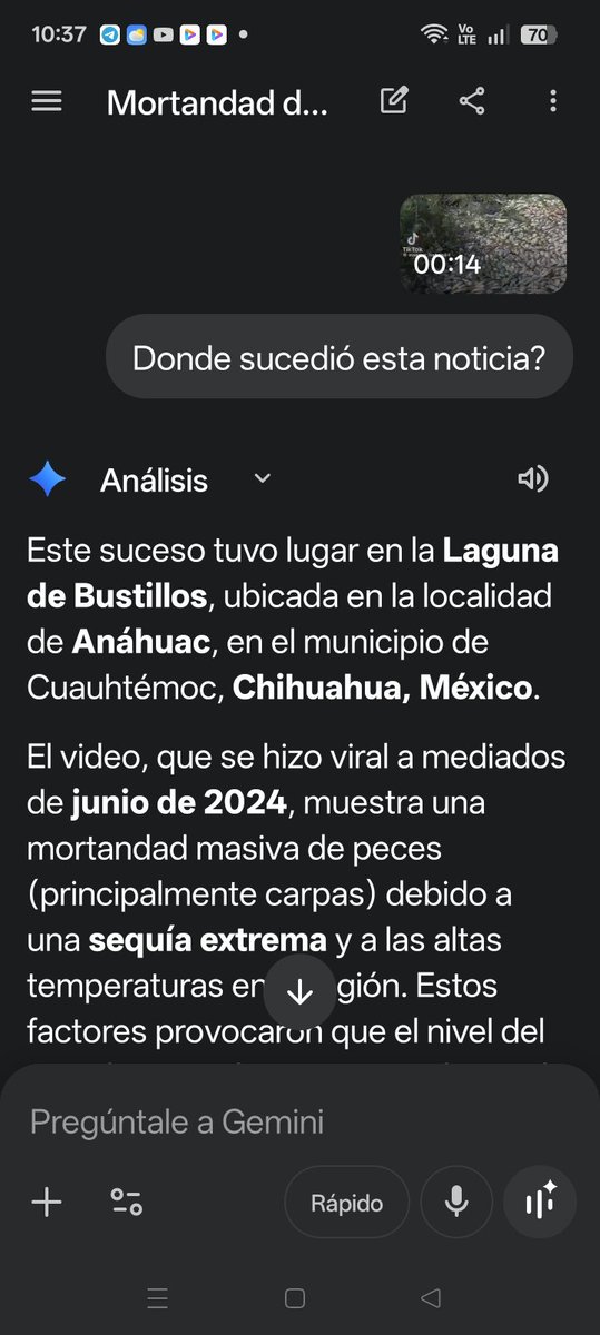 el chile enmascarado tweet media