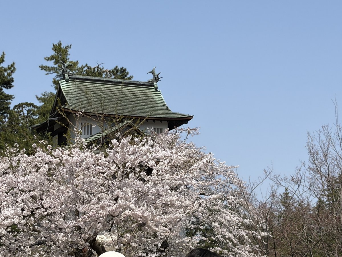 めぐるさん@ゆるふわ魔法少女系近所のお兄さん tweet media