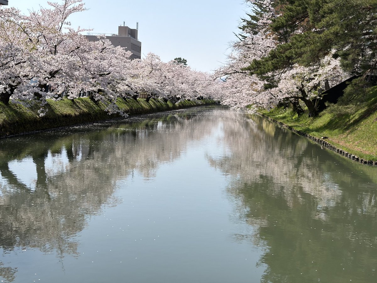 めぐるさん@ゆるふわ魔法少女系近所のお兄さん tweet media