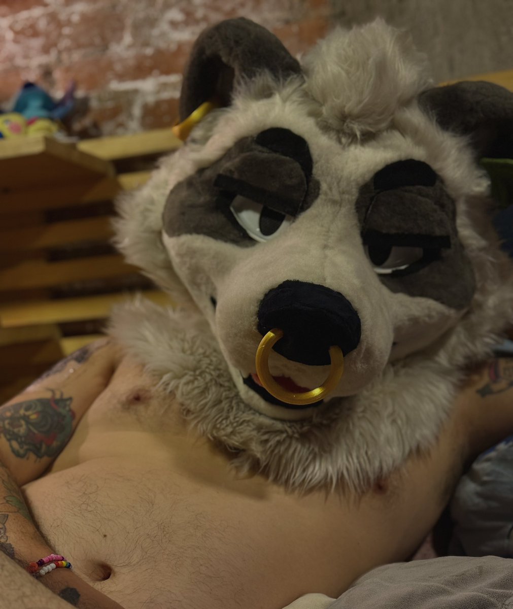 Daiki Tanuki tweet media