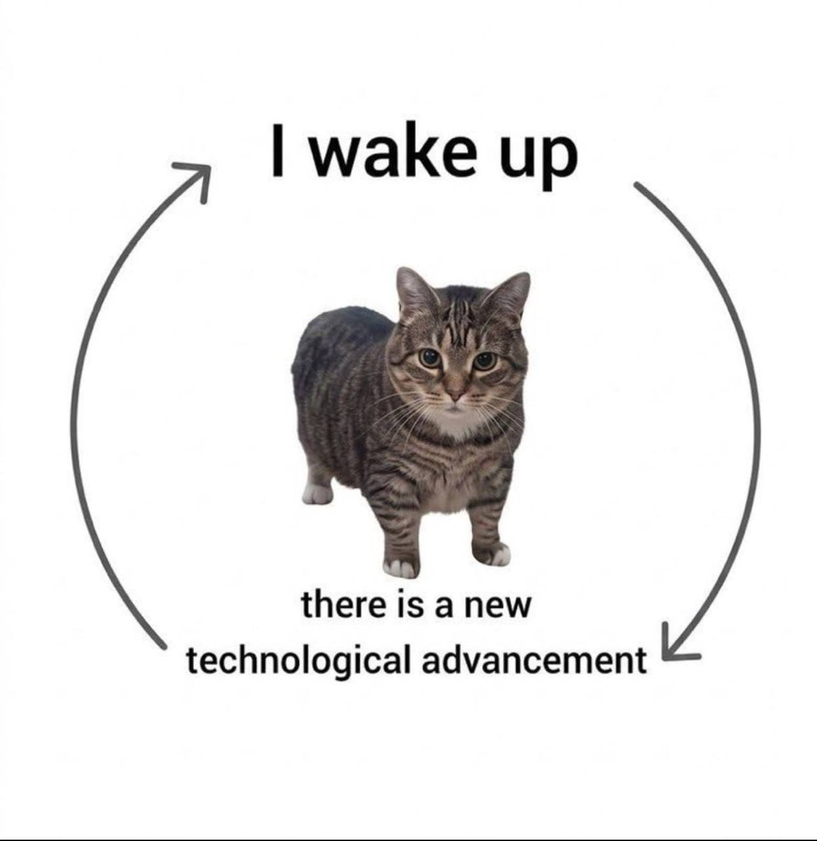 supercubeguy's tweet image. 🚨 Do you understand what happened in the last 24 hours?

• Tesla brought its robotaxi service to Dallas and Houston, because apparently "beta testing" now means two more major cities.

• Cerebras filed for an IPO, so even the companies selling AI shovels have decided this gold
