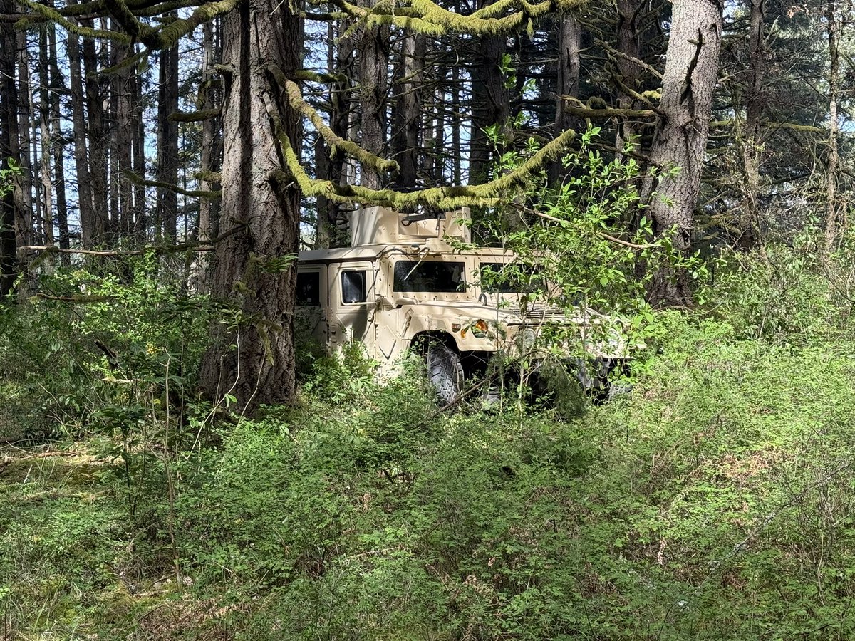 🇺🇸메고🐟 tweet media