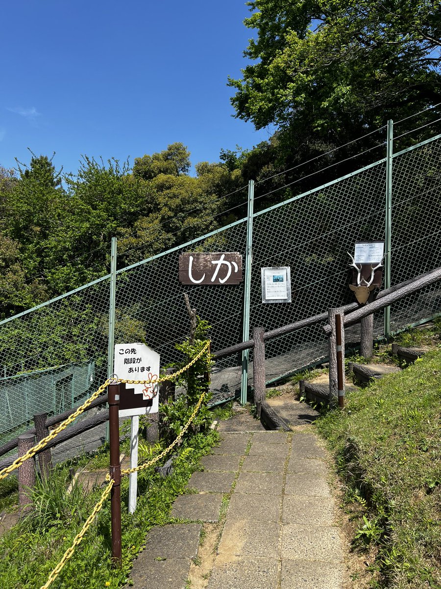 すみれ tweet media