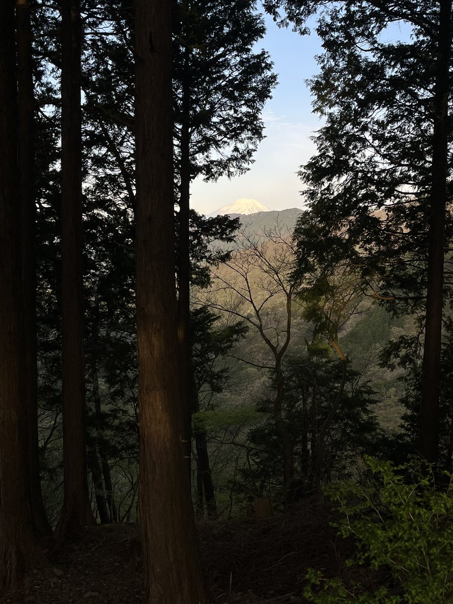 ゆーすけ tweet media