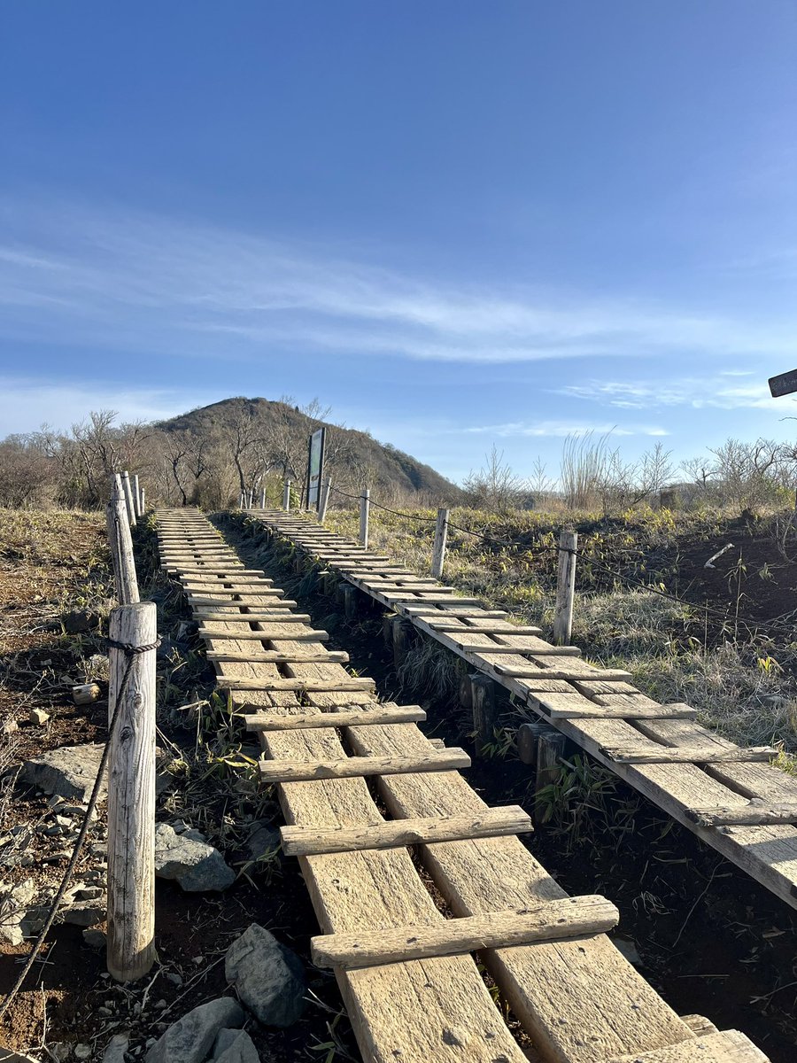 ゆーすけ tweet media