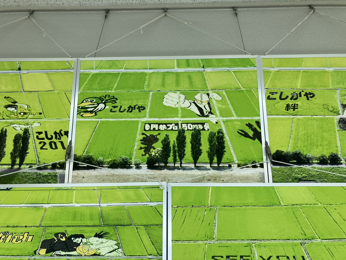 ＼(○￥○）／ （バイク垢） tweet media