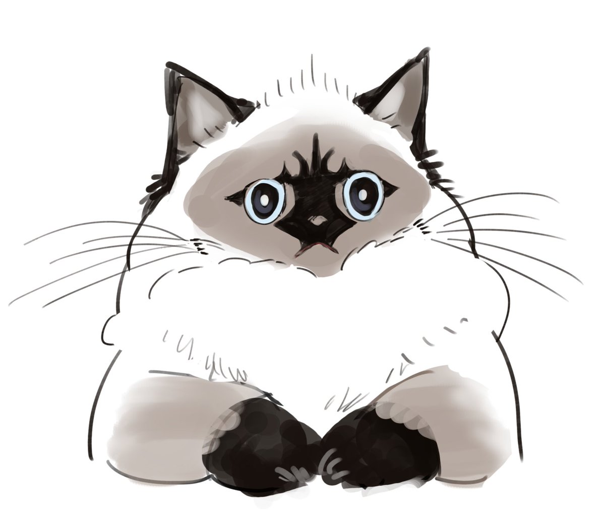 moffumoto's tweet photo. 飼い猫　試し描きの会 https://t.co/xaabUhUB5o