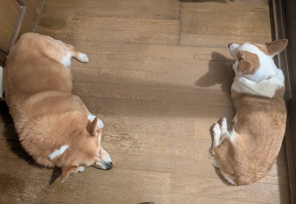 ながり tweet media