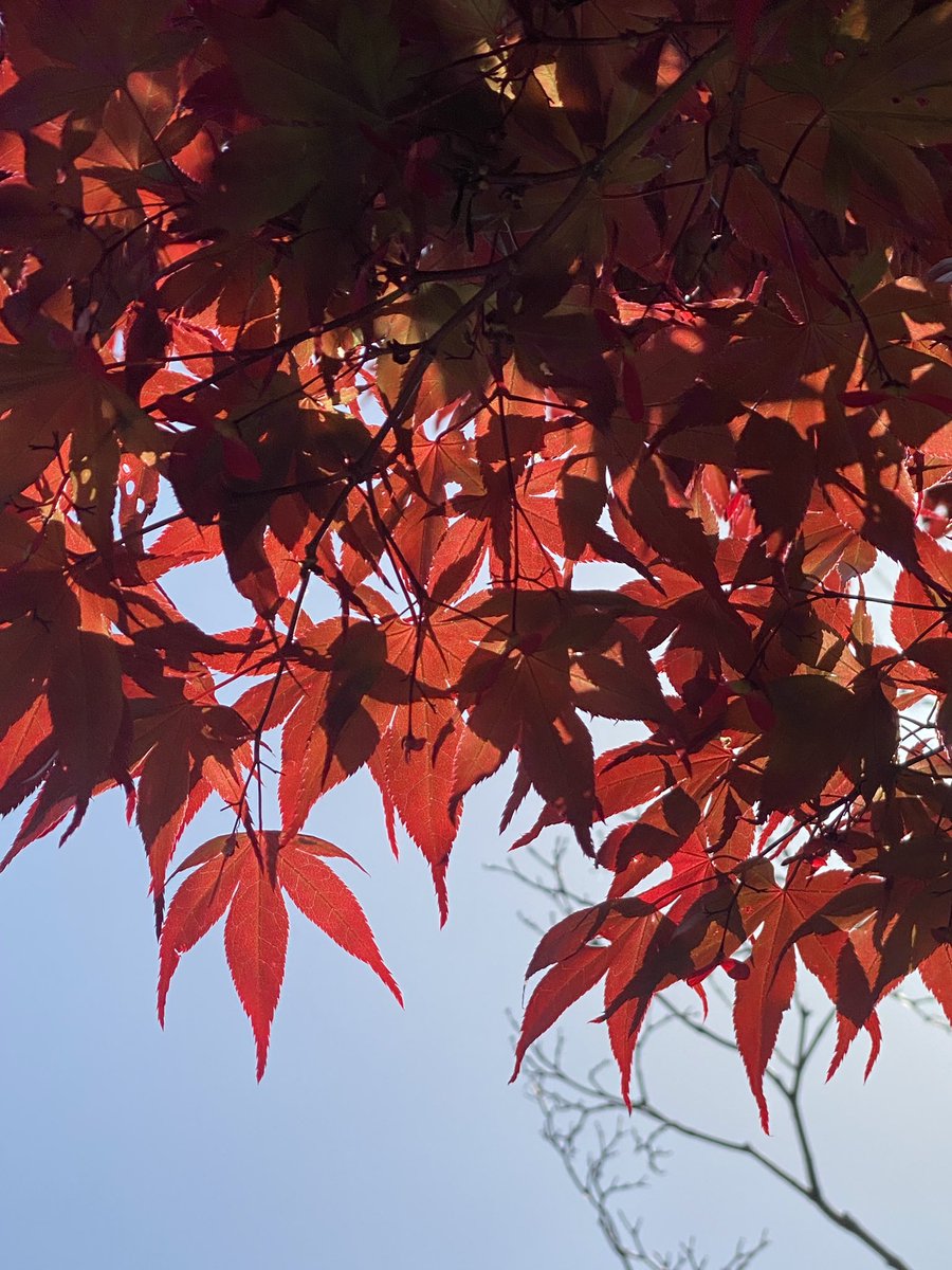 ☆StudioMIZHA☆金工作家の創るアートジュエリー tweet media