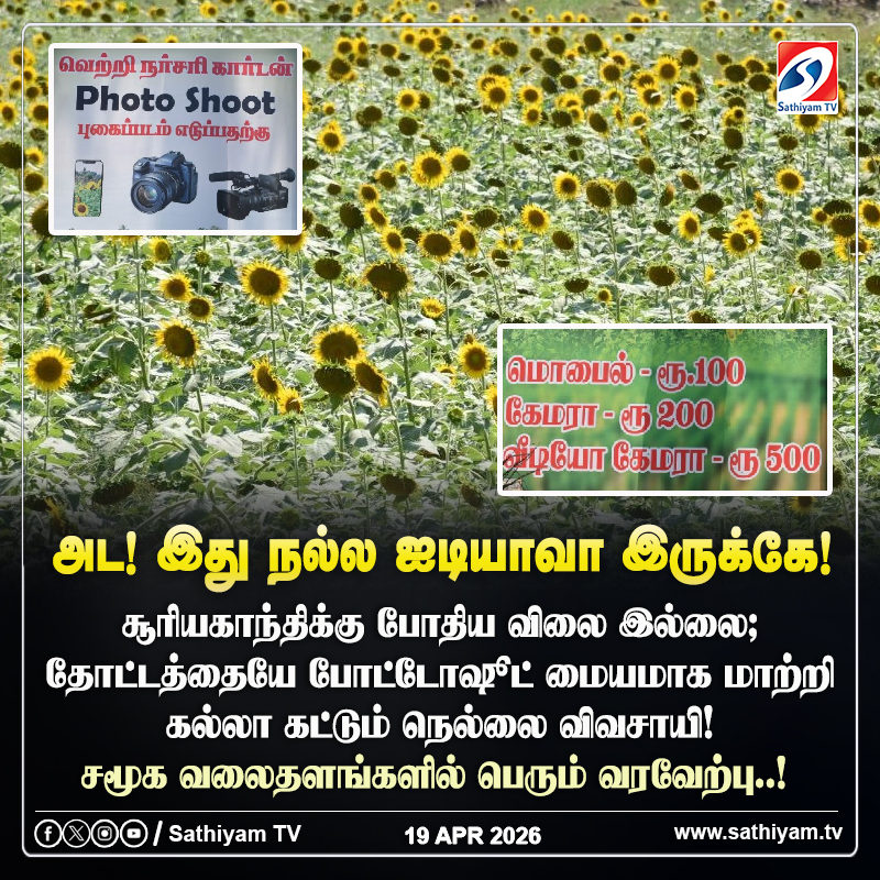 sathiyamnews's tweet image. சூரியகாந்திக்கு போதிய விலை இல்லை; மாத்தி யோசித்த விவசாயிக்கு குவியும் பாராட்டு   
#sathiyamtv #sathiyamnews #Nellai #Farmer #Sunflower #PhotoShoot