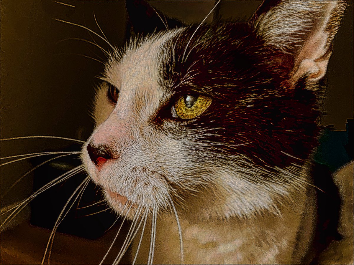 Timothy Benoit tweet media