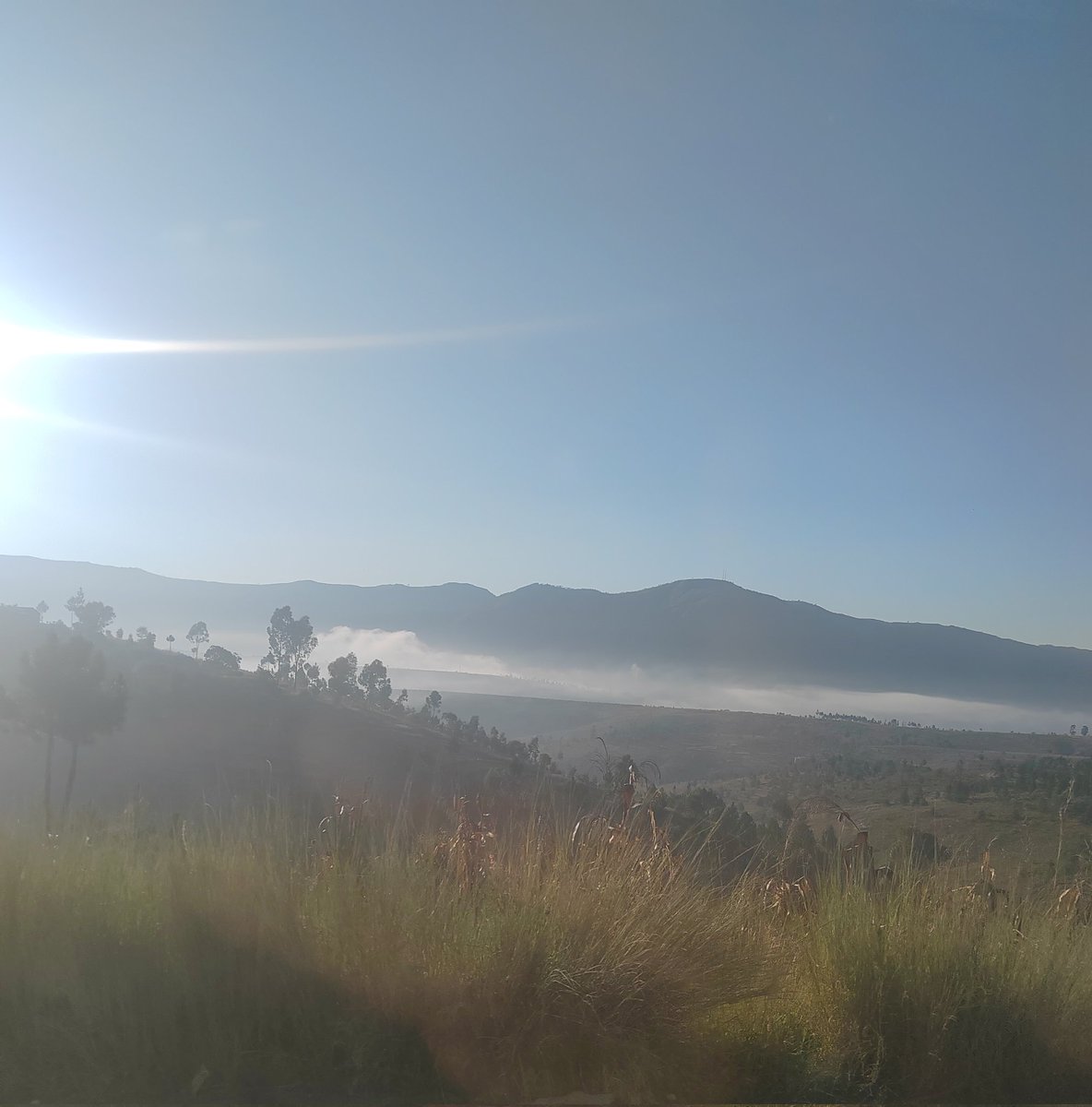 Fanvichka's tweet image. Bonjour le monde !

Belle journée pour aller souffrir, oups pardon, courrir dans ce joli paysage.

#trailibity10 #fantrail #runforfun