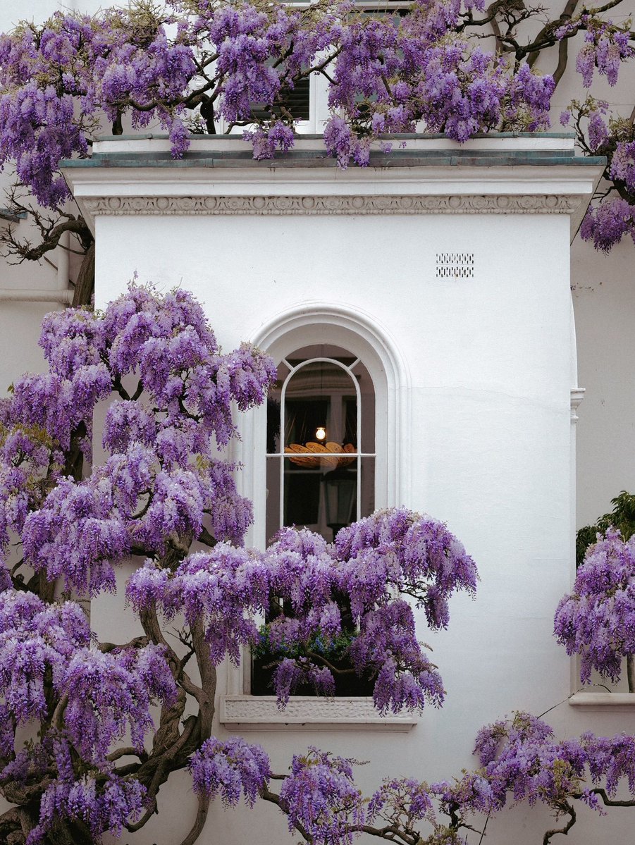 The Nature tweet media