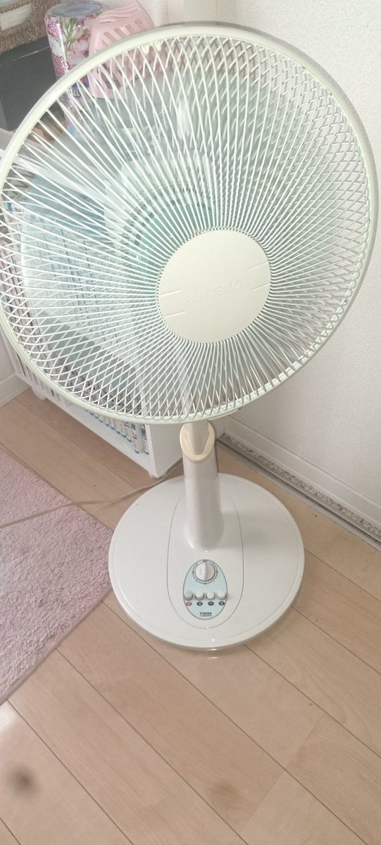 ダンデン tweet media