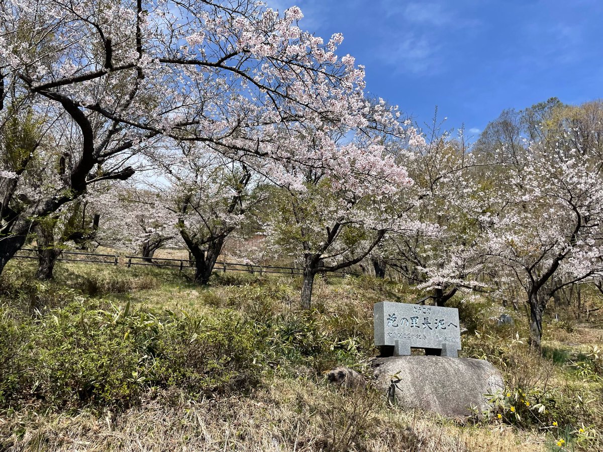 cwt (だいたい連ツイ) tweet media