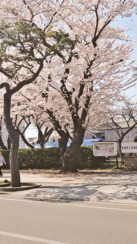 maconoTX's tweet photo. 十和田官庁街を 車で回って見ました https://t.co/jlEcVhLD6X