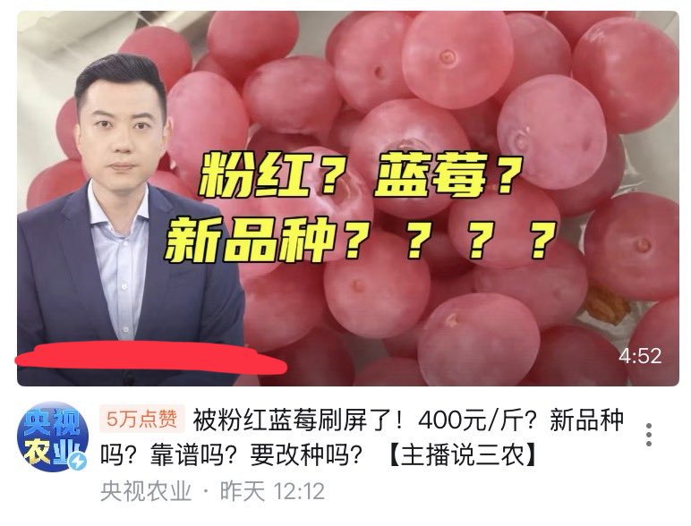 Moniko大人 tweet media