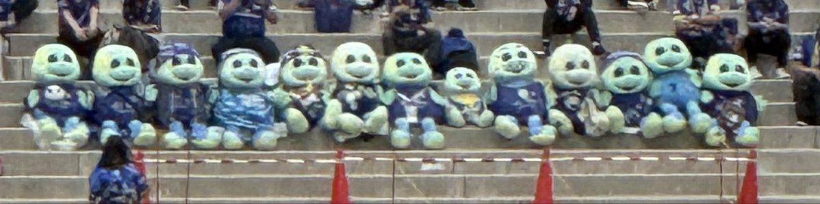 へるこさん(Cahi) tweet media