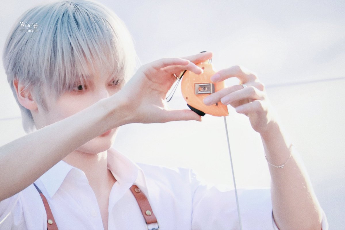 WinterCamellia tweet media