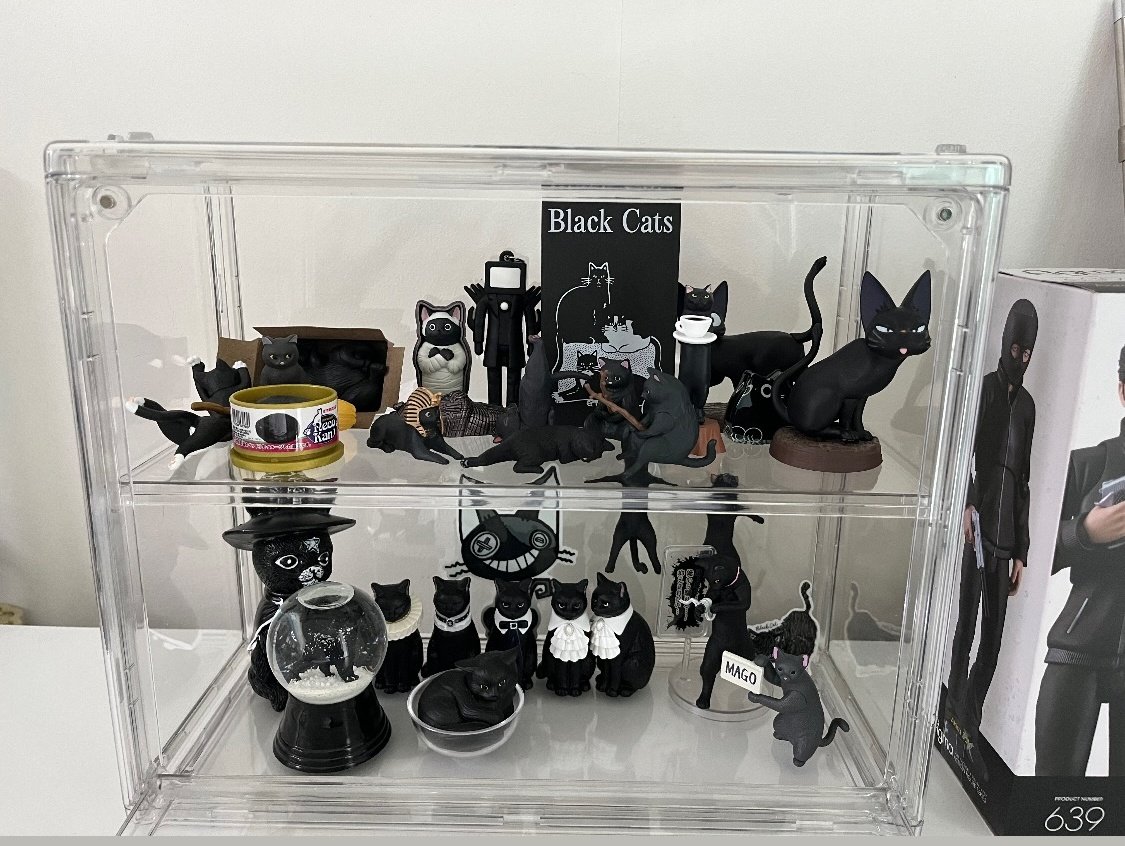 🐈‍⬛ tweet media