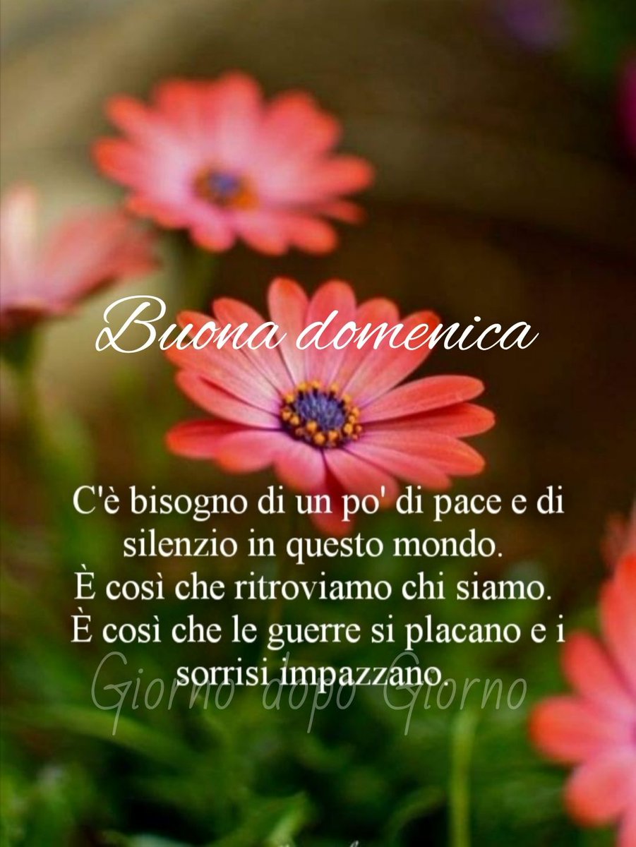pacerg1's tweet image. #Di casa FrancescaCaffè.Domenica di certo è BELLA! GRAZIE!