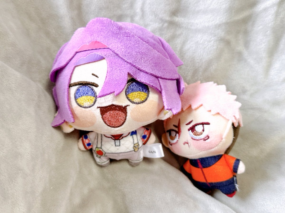 ぬのち5/6西2ヒ16a tweet media