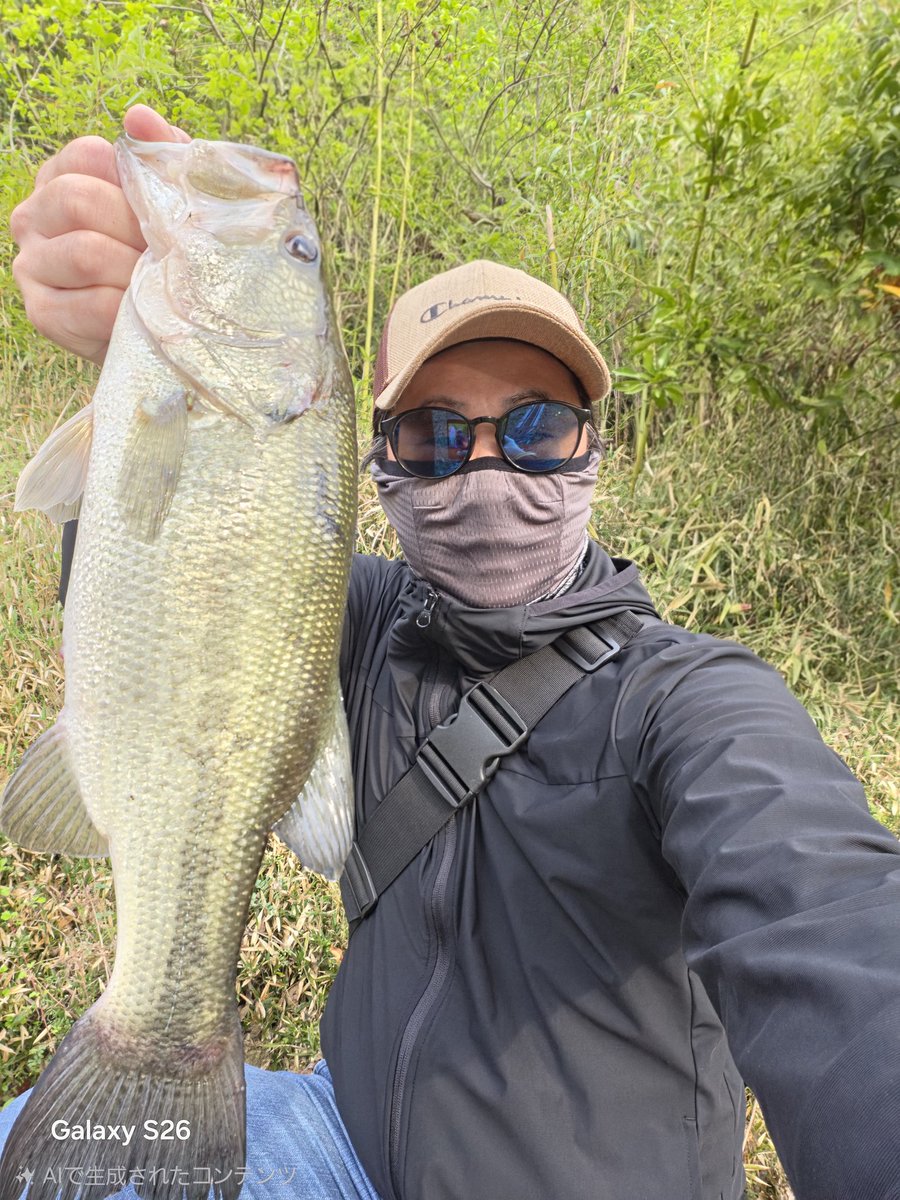 WEVA2019's tweet photo. wellaから釣果報告します！ 

釣行日 26.4.19
場所 岡山県  ため池
天気 ?
時間 ?
気温 ?
水温 ?
ルアー
1.2.レイドジャパン／スーパーフィッシュローラー4.2／ミドスト
3.ボトムアップ／mps2.4／ダウンショット0.9g

1. size 40cm / weight ？g
2. size 40cm / weight ？g 
3. size 45cm/ weight？g https://t.co/FJkK9YQ506