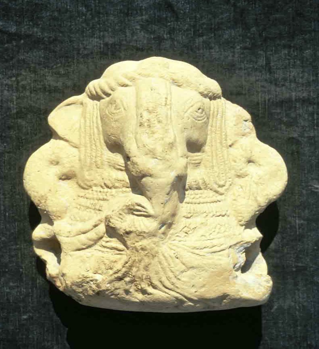 Mystic Sanatan tweet media