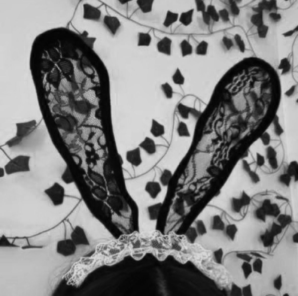 moe 🐇 (18+) tweet media