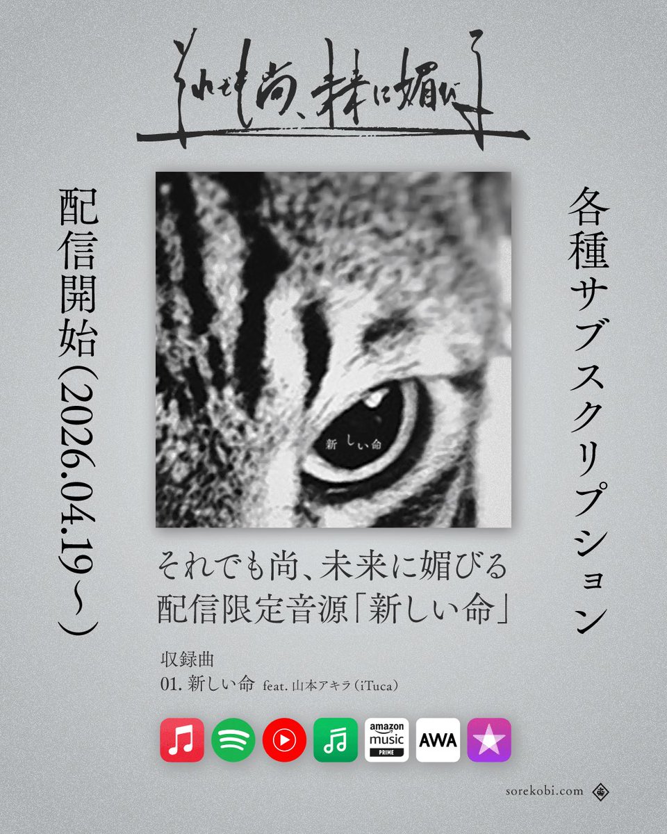 それでも尚、未来に媚びる tweet media