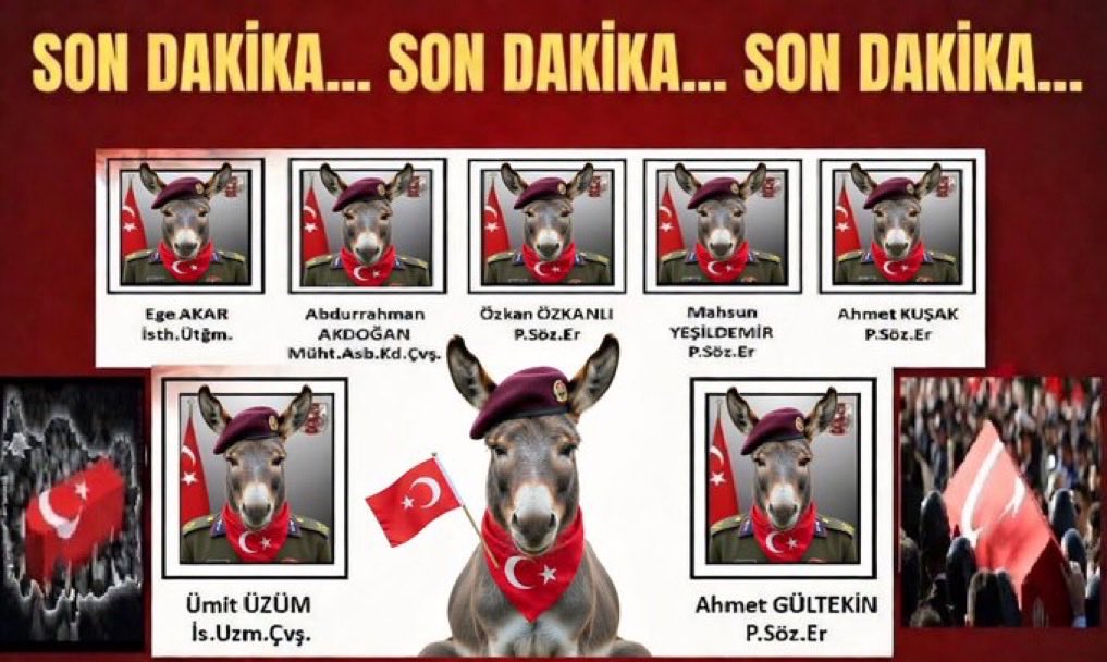 Abraheim tweet media